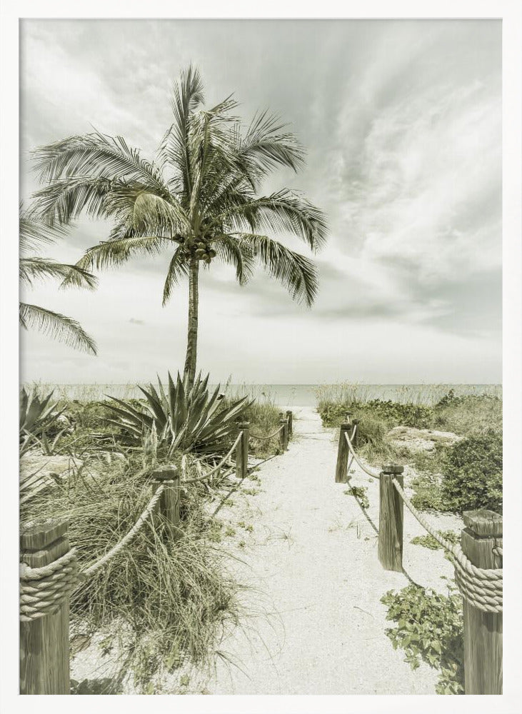 Vintage path to the beach Poster