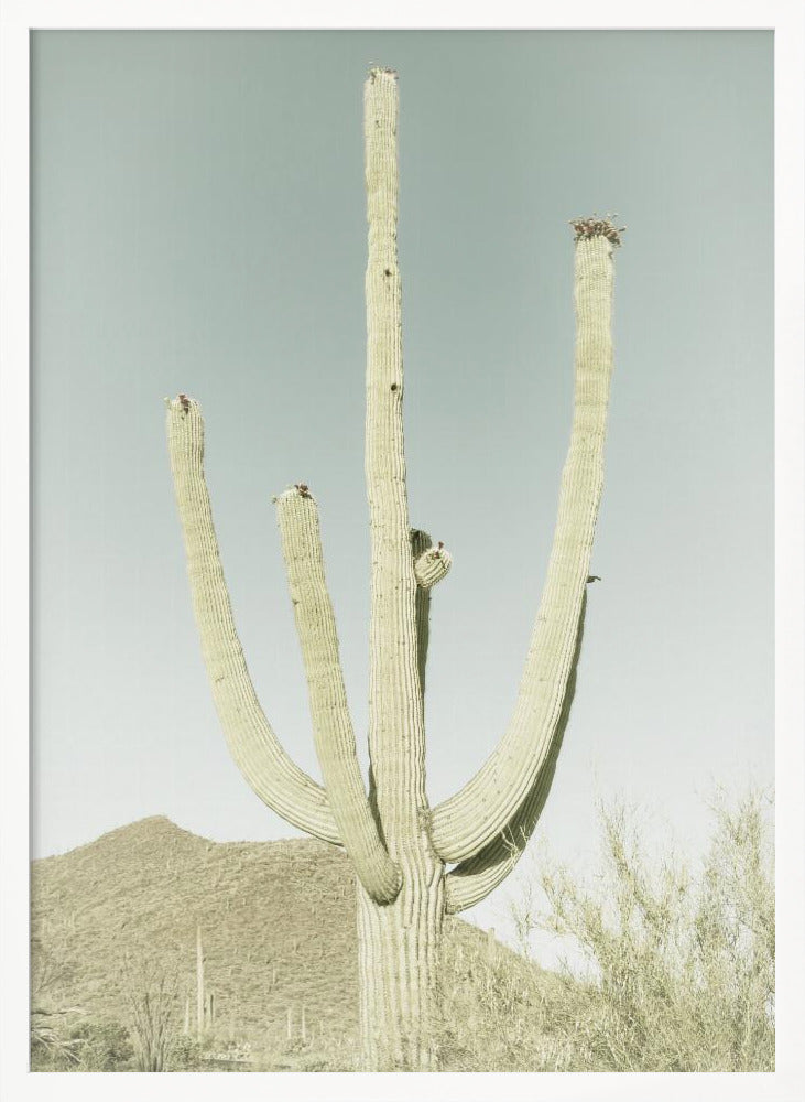 SAGUARO NATIONAL PARK Vintage Giant Saguaro Poster