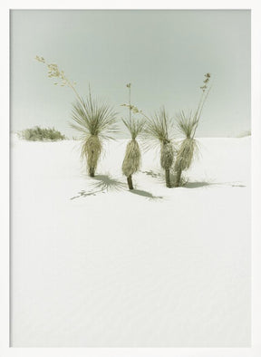 WHITE SANDS Vintage scenery Poster