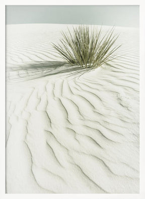 WHITE SANDS Idyllic vintage scenery Poster