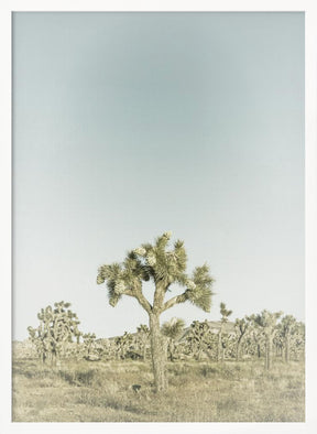 Vintage Joshua Tree National Park Poster