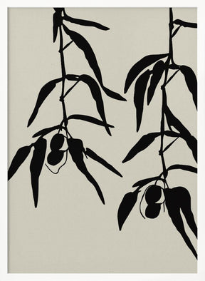 Olive twigs Poster