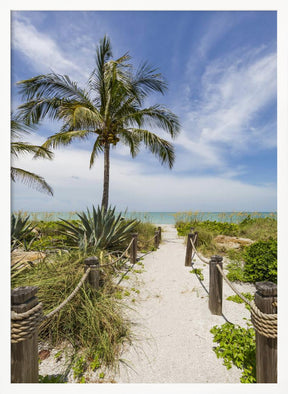 Path to the beach Poster