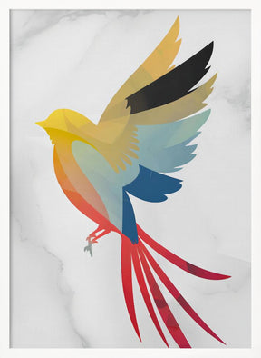 Colorful Bird Poster