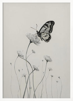 Butterfly and Flowers Poster