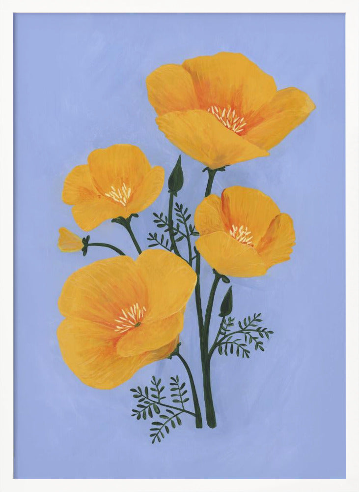 Bouquet of orange California poppies Poster