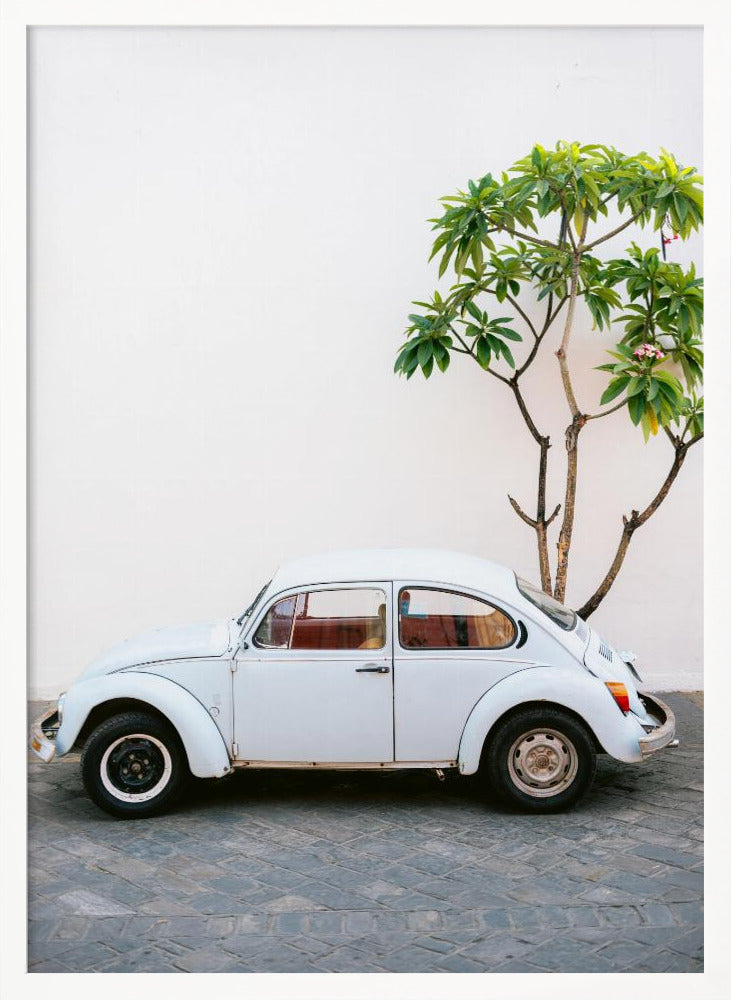 Pastel Volskwagen Beetle in the streets of Oaxaca Mexico Poster