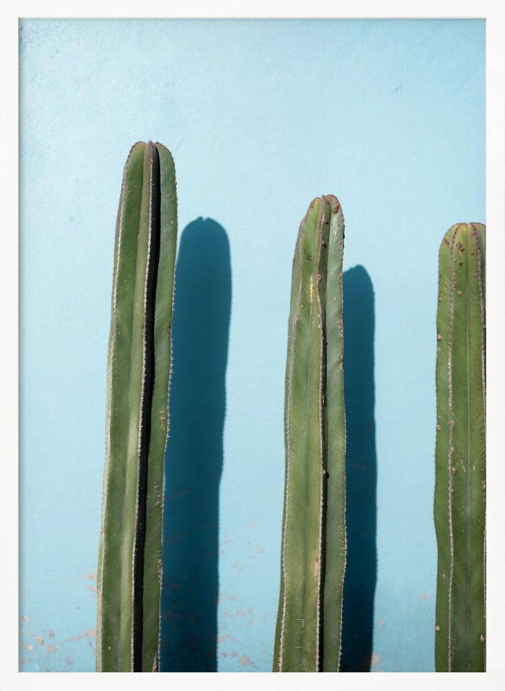 Cacti on Light Blue | Oaxaca Mexico Poster