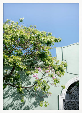 Pastel Oaxaca Architecture | Mexico travel photography Poster