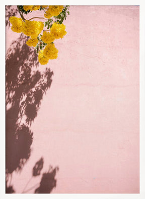 Yellow and Pink | Oaxaca Mexico Poster