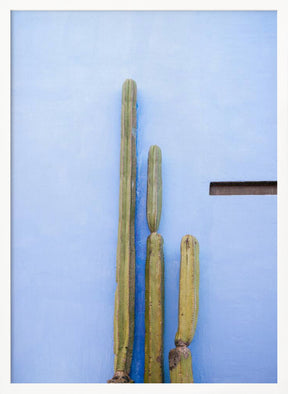 Tall Cacti on Blue | Oaxaca Mexico Travel Poster