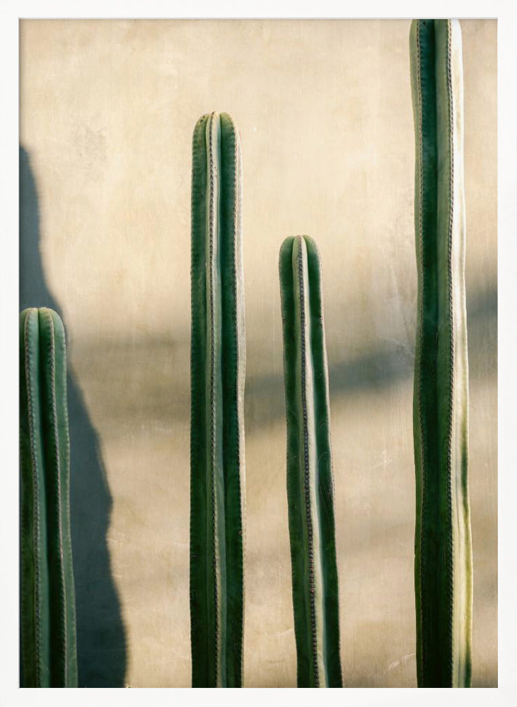 Oaxaca Shades of Green | Mexico travel photography Poster