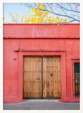 The Wooden Door | Botanical Oaxaca Mexico Poster