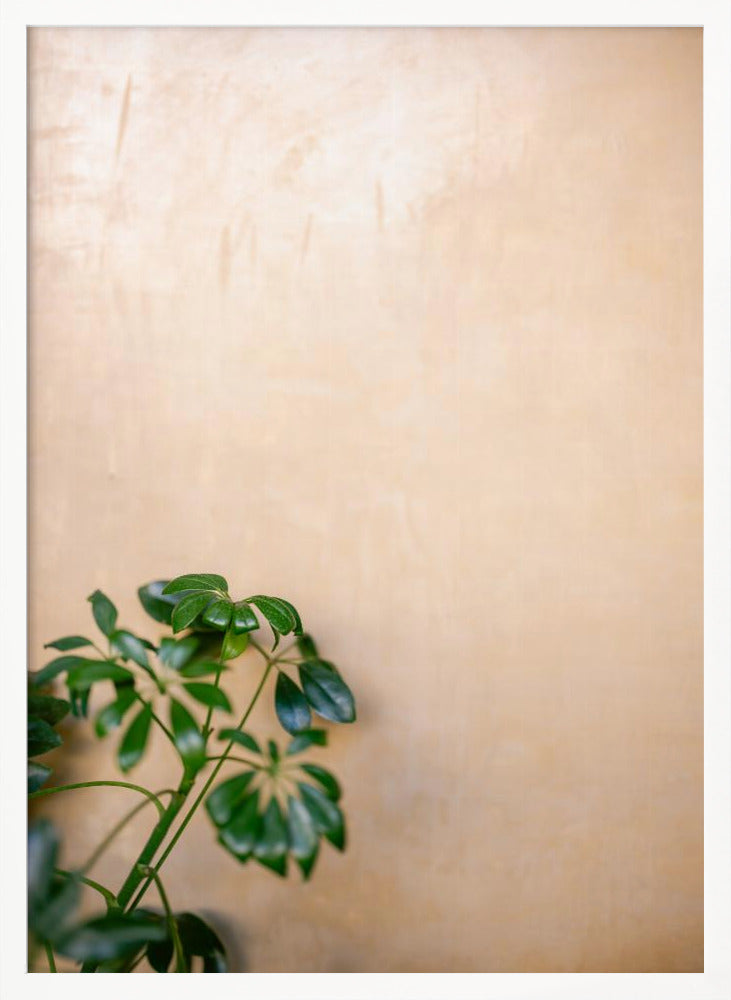 Botanical Oaxaca Scene | Mexico travel photography Poster