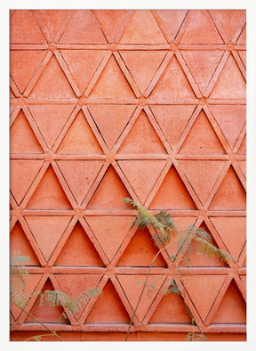 Coral details of Oaxacan Architecture in Mexico Poster