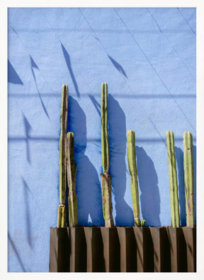 Tall Cacti | Oaxaca Mexico travel photography Poster