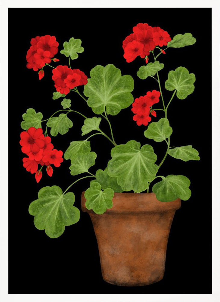 Red Geranium Poster