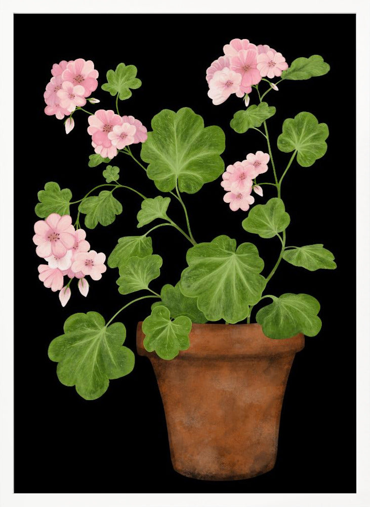 Pink Geranium Poster