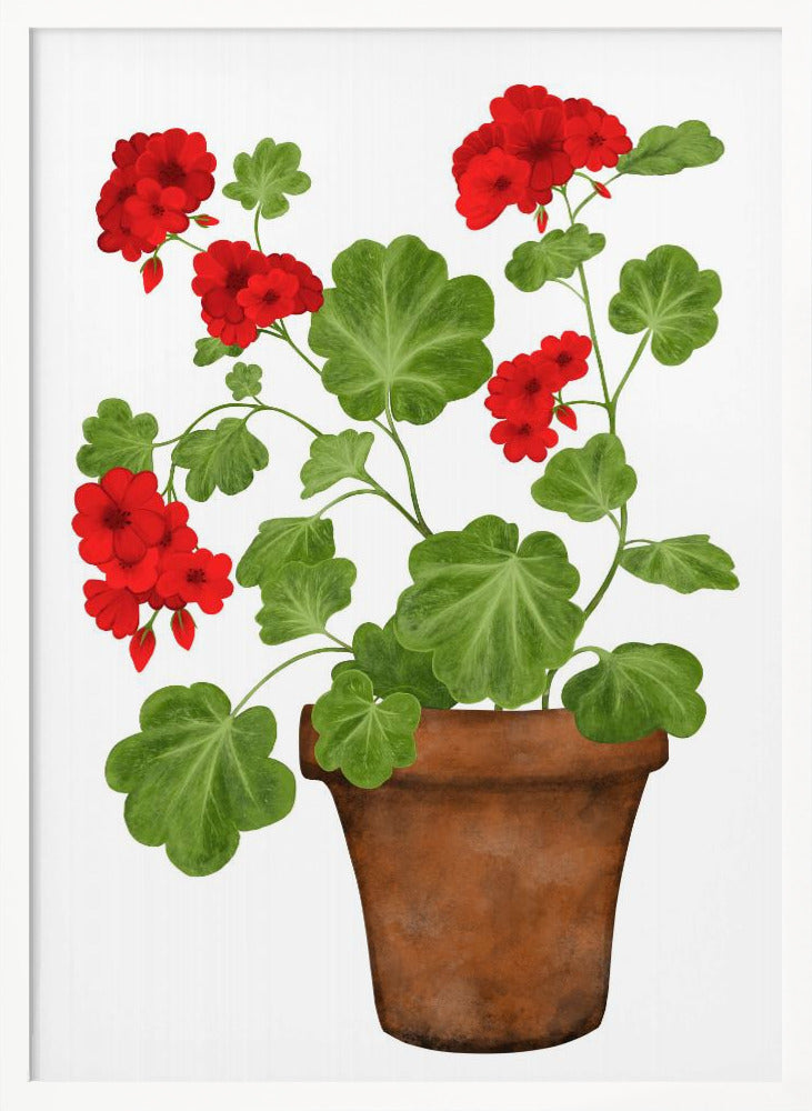 Red Geranium Poster