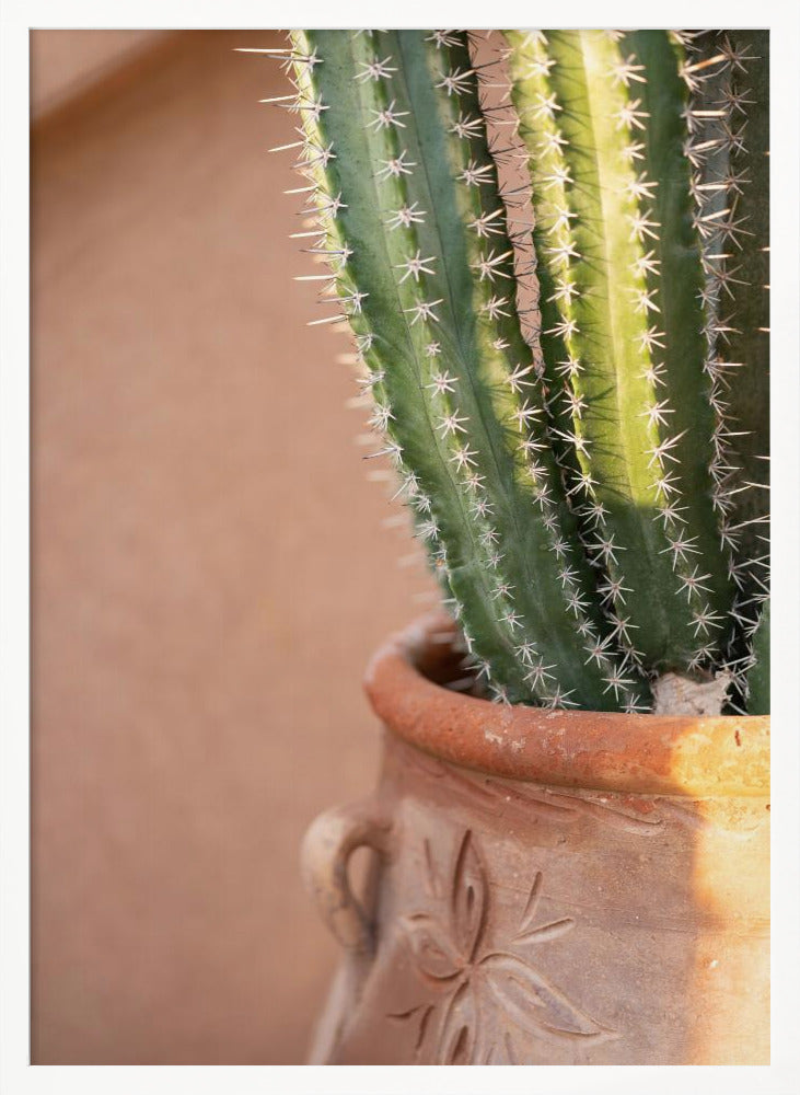 Green On Orange | Marrakech Travel Photography Poster