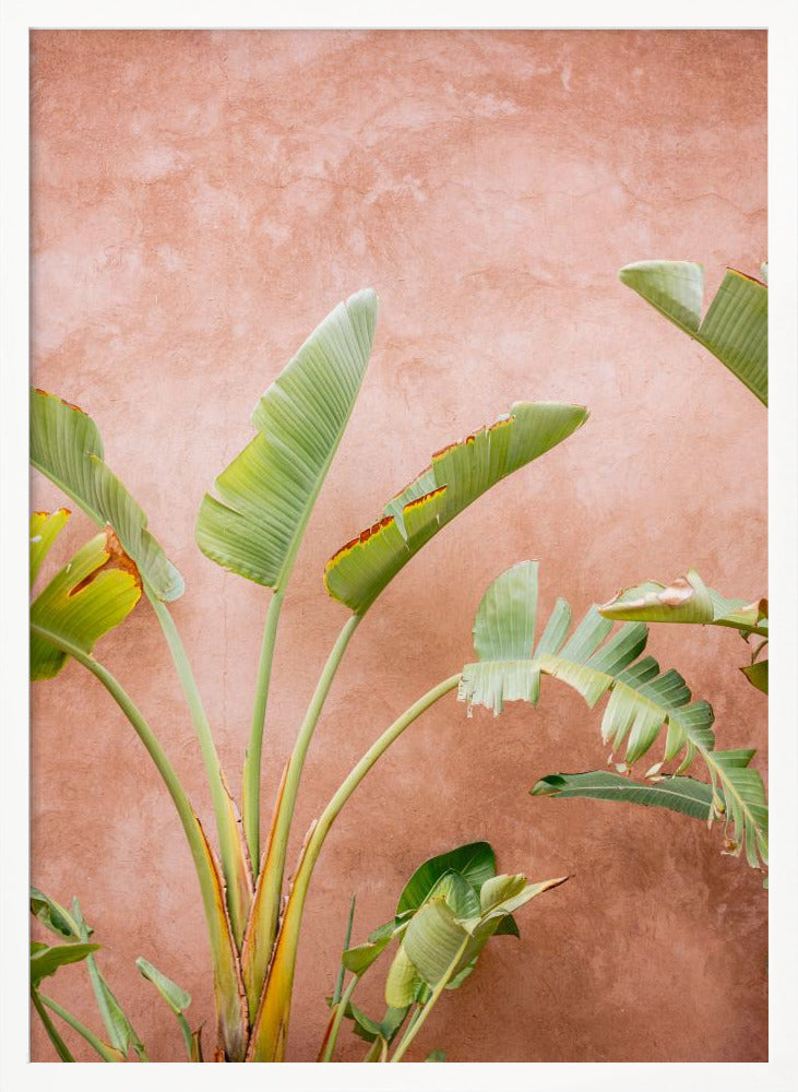 Palms of Ourika Morocco Poster