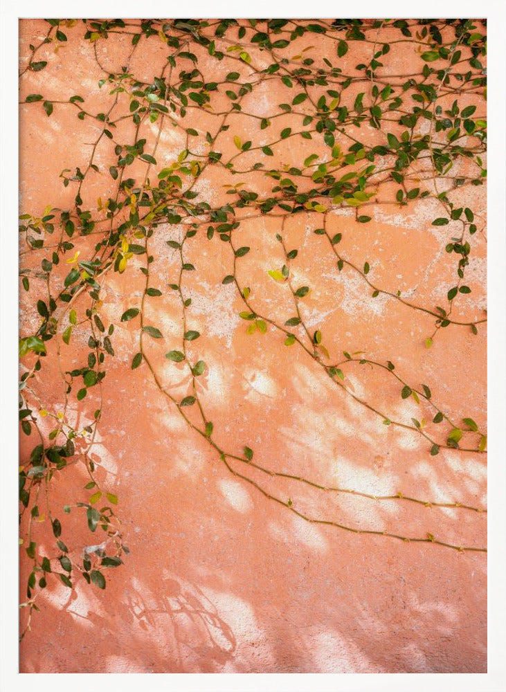 Botanical San Miguel de Allende | Mexico travel photography Poster