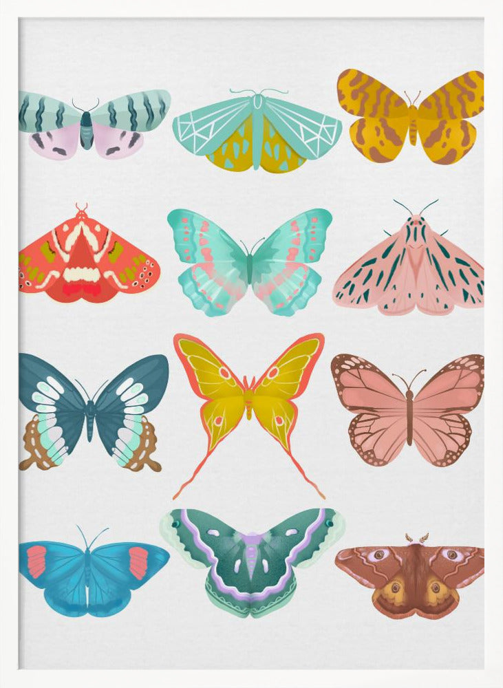 Butterfly Poster