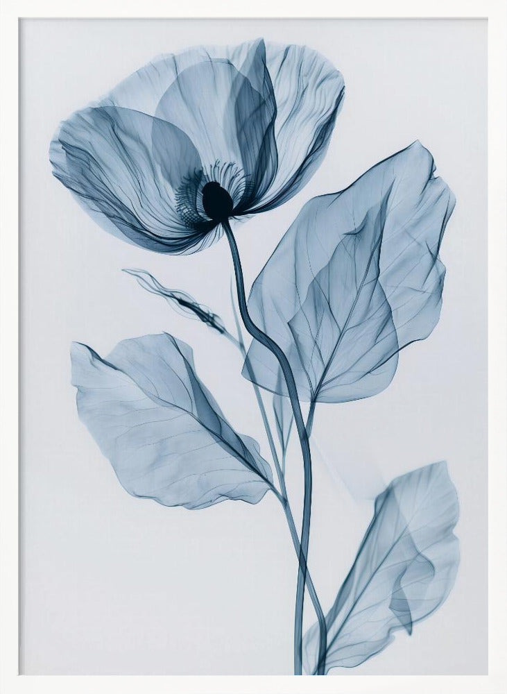 X-Rayed Flower Poster