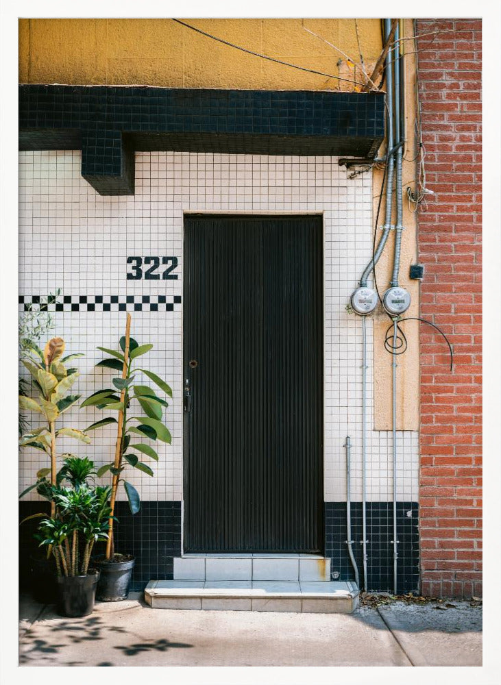 Condea Door | Mexico City travel photography Poster