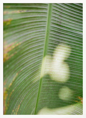 Costa Rica Greens Poster