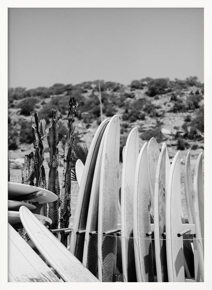 Surfboards in Black and White Poster