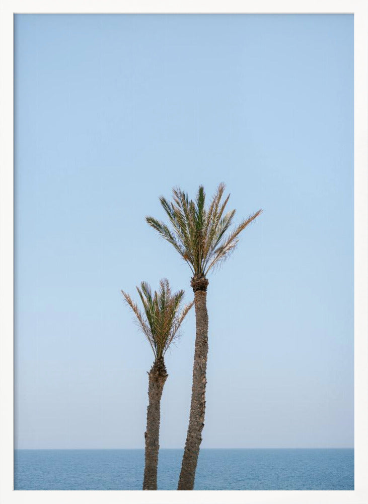 Moroccan Coast Palm Trees Poster