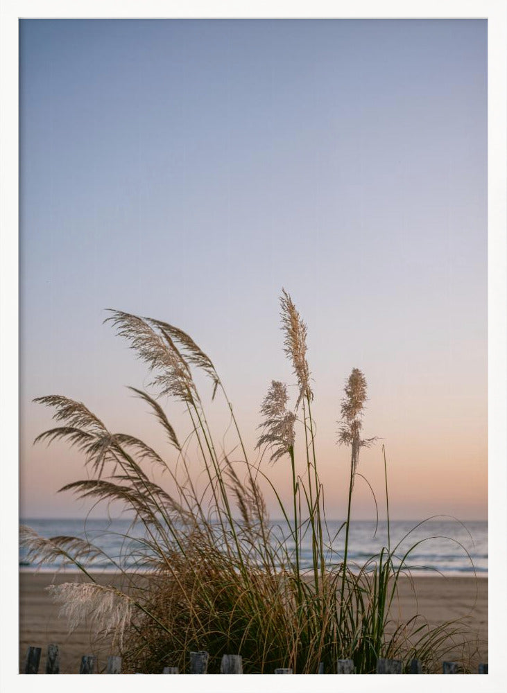 Moroccan Coast Sunset Poster