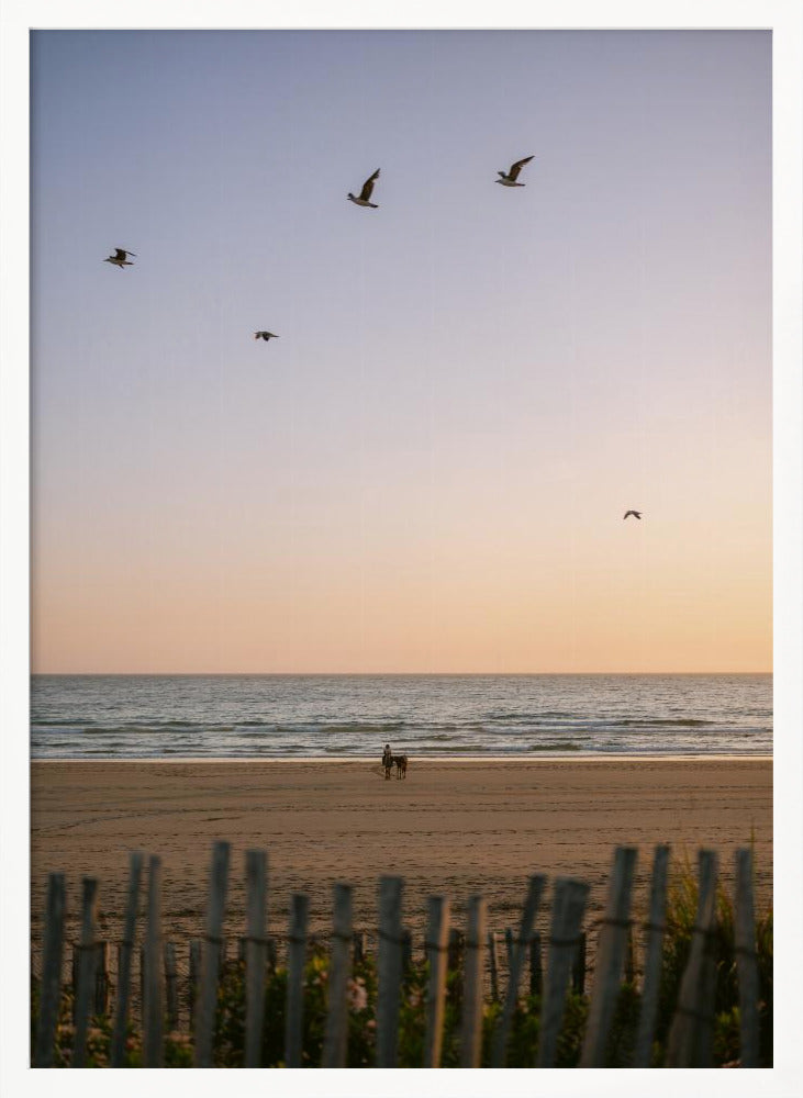 Moroccan Coast Sunset Poster