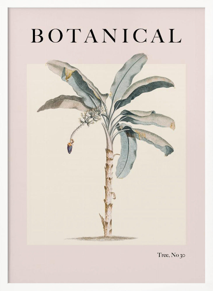 Botanicalno30 Ratioiso Poster