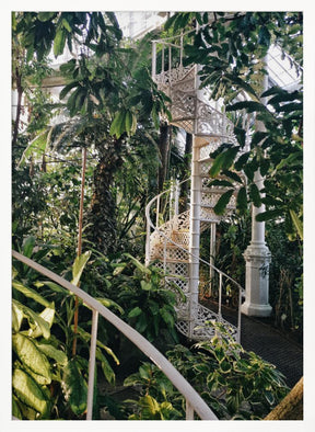 Palmhouse Ratio2x3 Poster