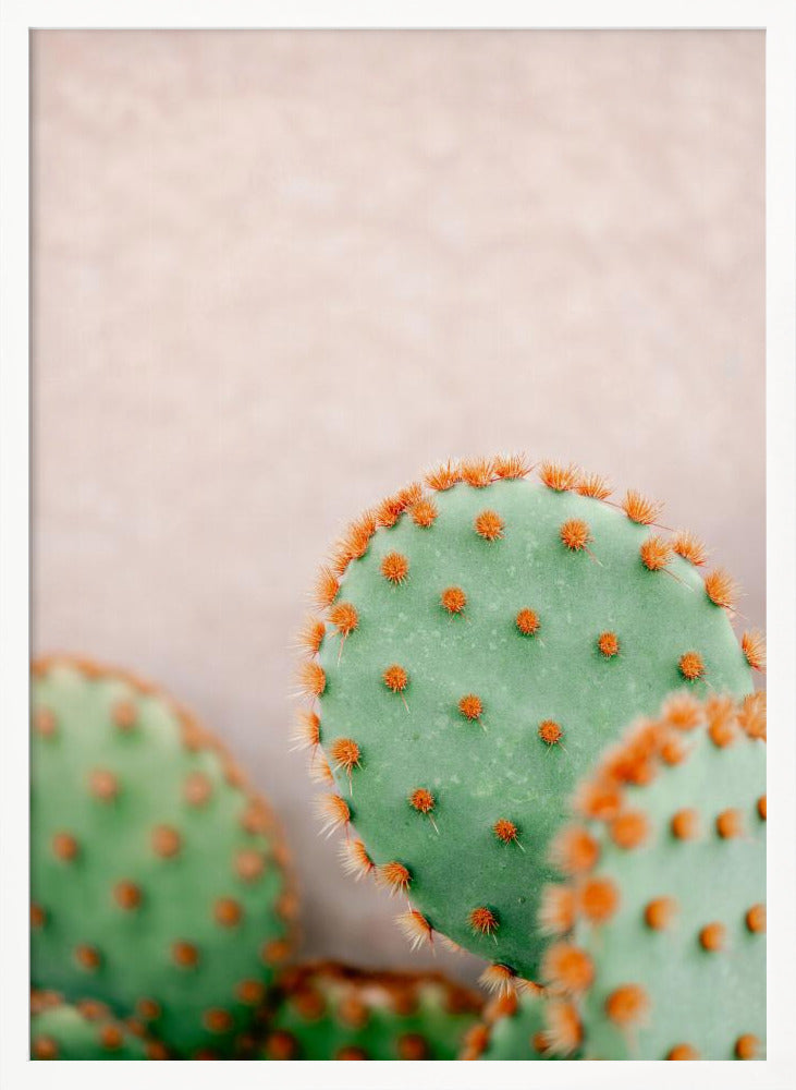 Cacti Pastel Tones Poster