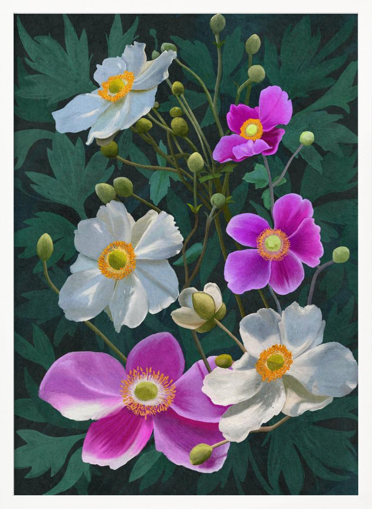 Anemone Flowers Poster