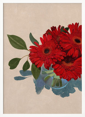 Gerbera Daisy Poster