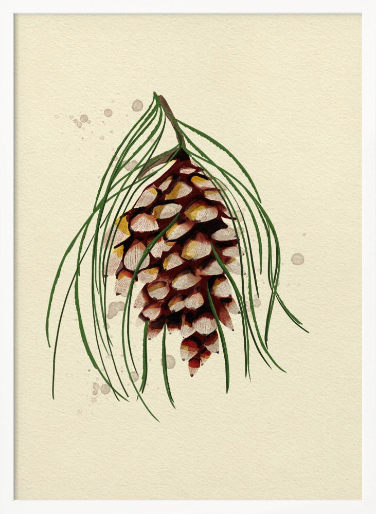 Maine White Pine Cone Copy Poster