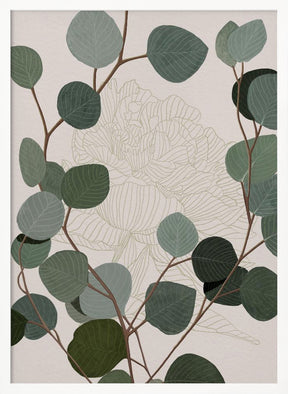 Round Eucalyptus Poster