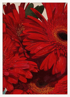 Red Gerbera Daisy Detail Poster