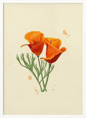 California Poppy Poster