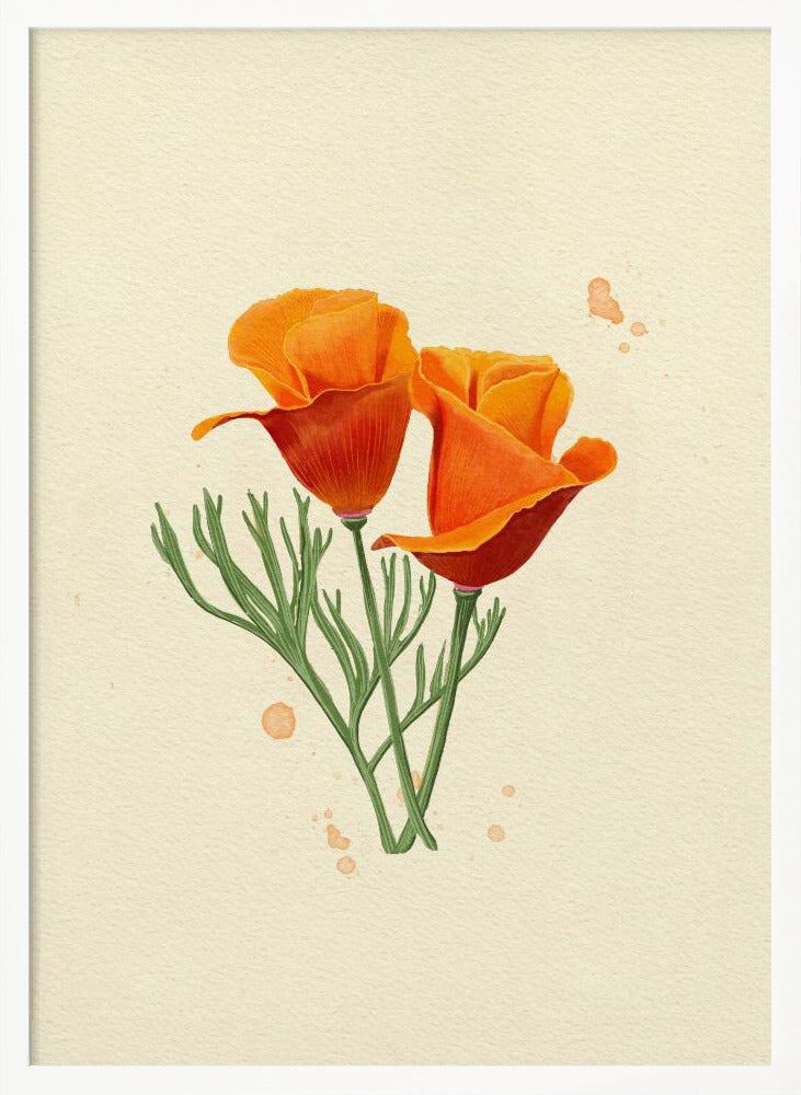 California Poppy Poster