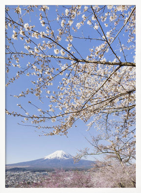 Charming view of Mount Fuji with cherry blossoms	 Poster