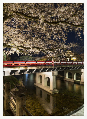 Charming Nakabashi Bridge in the evening Poster