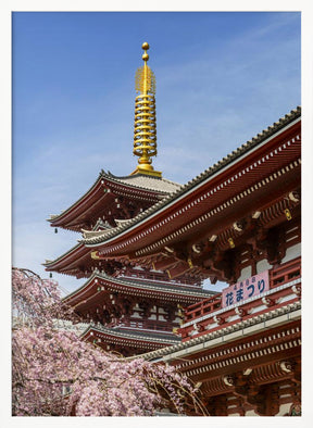 Charming Pagoda and Hozomon Gate of the Senso-ji temple in Tokyo Poster