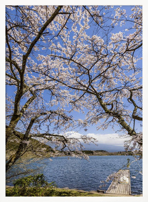 Charming Lake Tanuki with Mount Fuji Poster