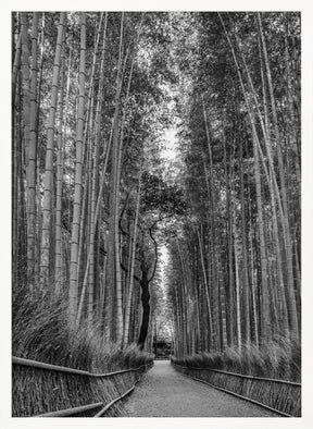 Mighty Arashiyama bamboo forest - monochrome Poster