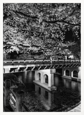 Charming Nakabashi Bridge in the evening - monochrome Poster